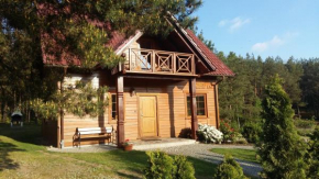 Kaszubskie Zacisze dom nad jeziorem, sauna, balia ogrodowa, Śluza